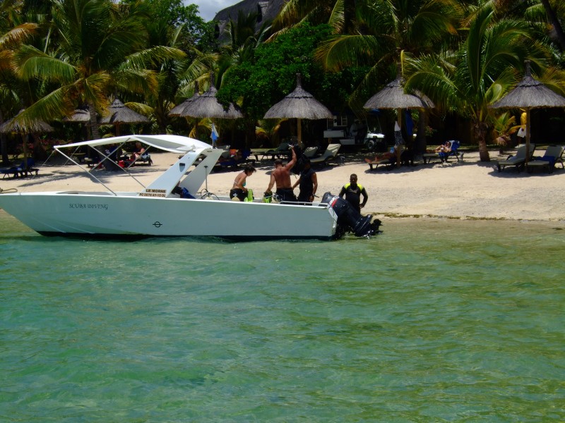 Mauritius 2010 - 0190 